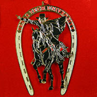 2000 Texas Tech™ Ornament
