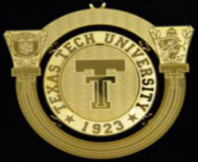 2009 Texas Tech™ Ornament