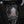 Texas Tech™ x Settlemier's Limited Edition Letterman Jacket in Black