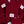 Texas Tech™ Carol of Lights® Beanie