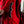 Texas Tech™ x Settlemier’s Limited Edition Letterman Jacket (Scarlet)