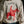 Texas Tech™  Will Rogers Long Sleeve
